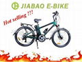 Electric bicycles 2