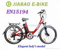 Electric bicycles 1