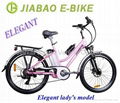 Electric bicycles 1