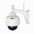 Waterproof Wireless PTZ Megapixel IP Camera with H264 Video Compression, Support 1