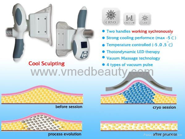 6 In 1 Cool Sculpting Fat Freezing Beauty Salon Machine 2