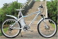 e-bike,ebike,e-bicycle,ebicycle