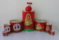 CANNED TOMATO PASTE of Diferrent Specification 1