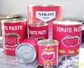 CANNED TOMATO PASTE of Diferrent Specification 2