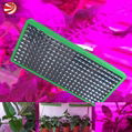 High power 720w full spectrum led grow light for flowering stage 1