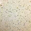 Quartz Stone Single colour S1 1