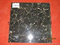 black glazed tile