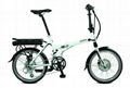 Folding Electric Bike with 250W 8-fun Motor, 36V 6.6Ah Li-Ion Battery, Shimano 7 1