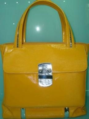 ladies handbag 3