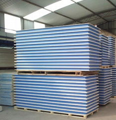 XPS Sandwich Wall Panel