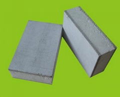 EPS Sandwich Wall Panel