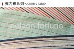 spandex fabric