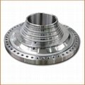 forged steel flanges 1