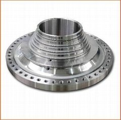 forged steel flanges