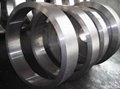 forged ring flange 3