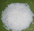 Desiccated Coconut 1