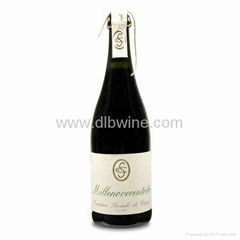 Lambrusco di Modena DOC sparkling red wine