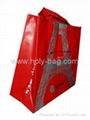 Non-woven Laminated Bag 3