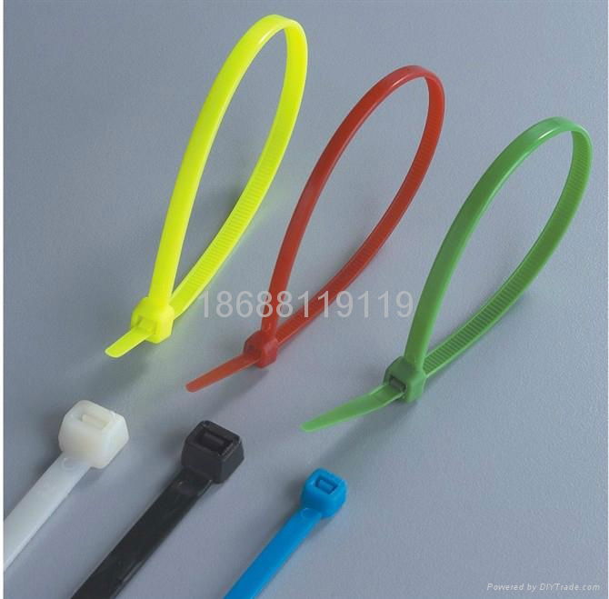 Nylon cable Tie