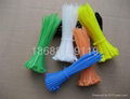 Nylon cable Tie 2