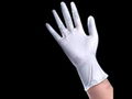 disposable glove  2