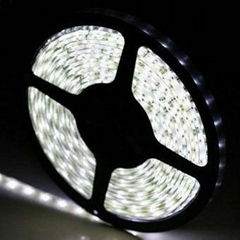 High brightness SMD 3528 Low-voltage LED Flexible strip light,12V