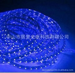  220V high-voltage SMD3528 LED Flexible strip light series，