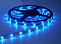 12V low-voltage SMD5050 LED Flexible