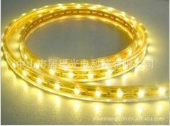  12V low-voltage SMD5050 LED Flexible strip light series，