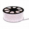 Water-Resistant 220V high-voltage SMD5050 LED Flexible strip light 1