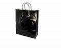 WHOLESALE LUXURY PAPER SHOPPING BAG 3