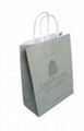 WHOLESALE LUXURY PAPER SHOPPING BAG 5