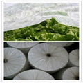 pp spunbond non woven fabric for agriculture