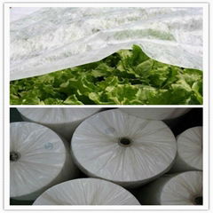 pp spunbond non woven fabric for agriculture