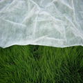 pp spunbond non woven fabric for agriculture 3