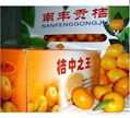 Nanfeng Mandarin Orange 1