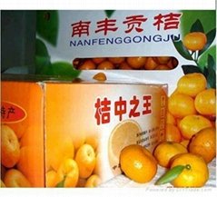 Nanfeng Mandarin Orange