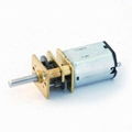 Gear Motor