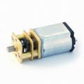 Gear Motor