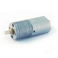 Gear Motor