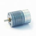 Gear Motor