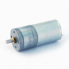 Gear Motor