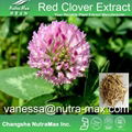 Red Clover Extract 20% Isoflavones 1