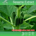 Sesame Extract Powder  90%  