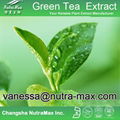  Green Tea P. E. 30% L- Theanine   1