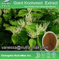 Giant Knotweed Extract 98% Resveratrol