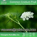 Common Cnidium Fruit P.E. 30% Osthole  1
