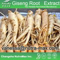 Ginseng Root Extract 80% Ginsenosides