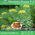 Rhodiola Rosae P. E. 5% Rosavins/3%
