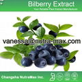 Bilberry P.E. 25% Anthocyanidins 1